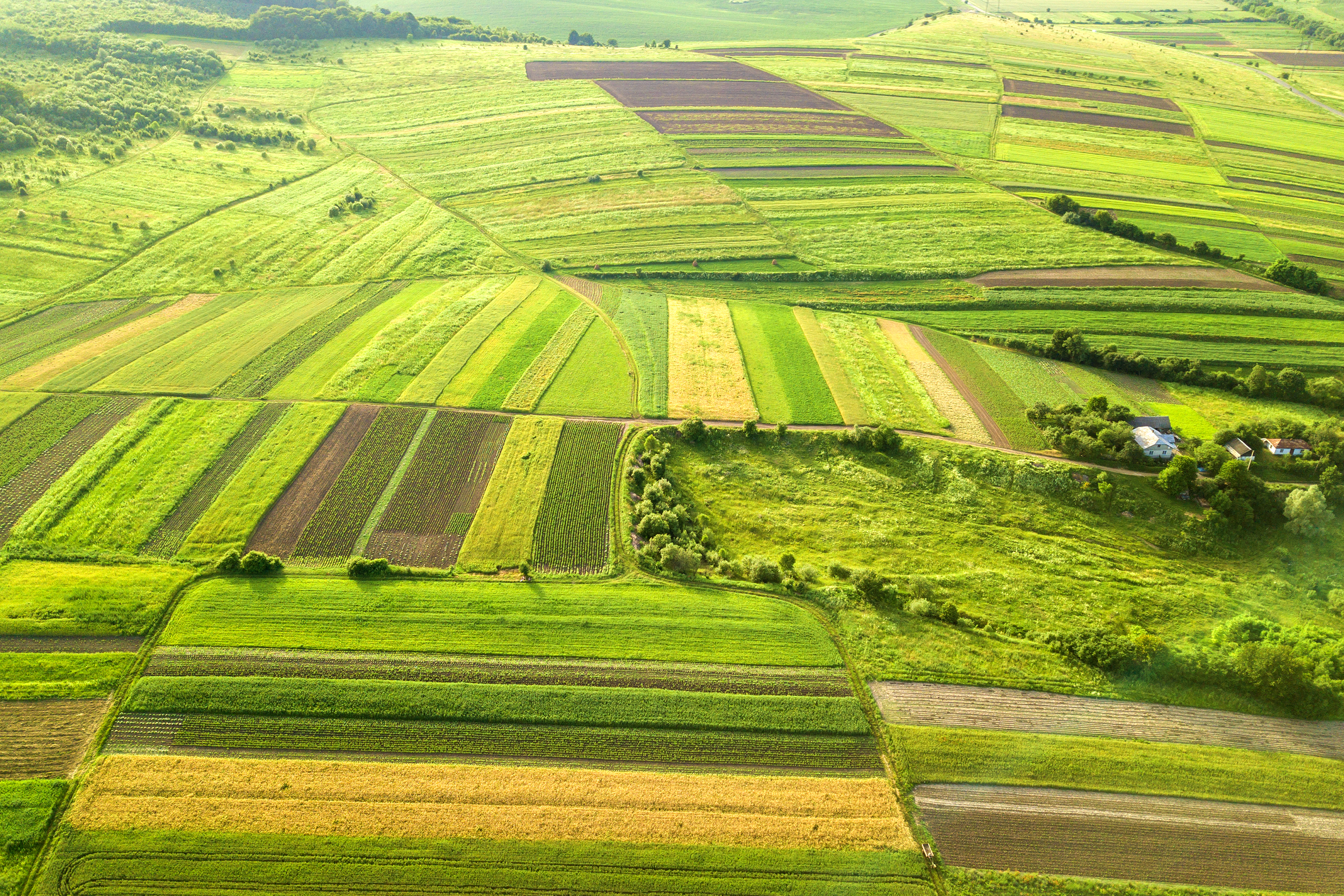 Land Use & Natural Resource Management