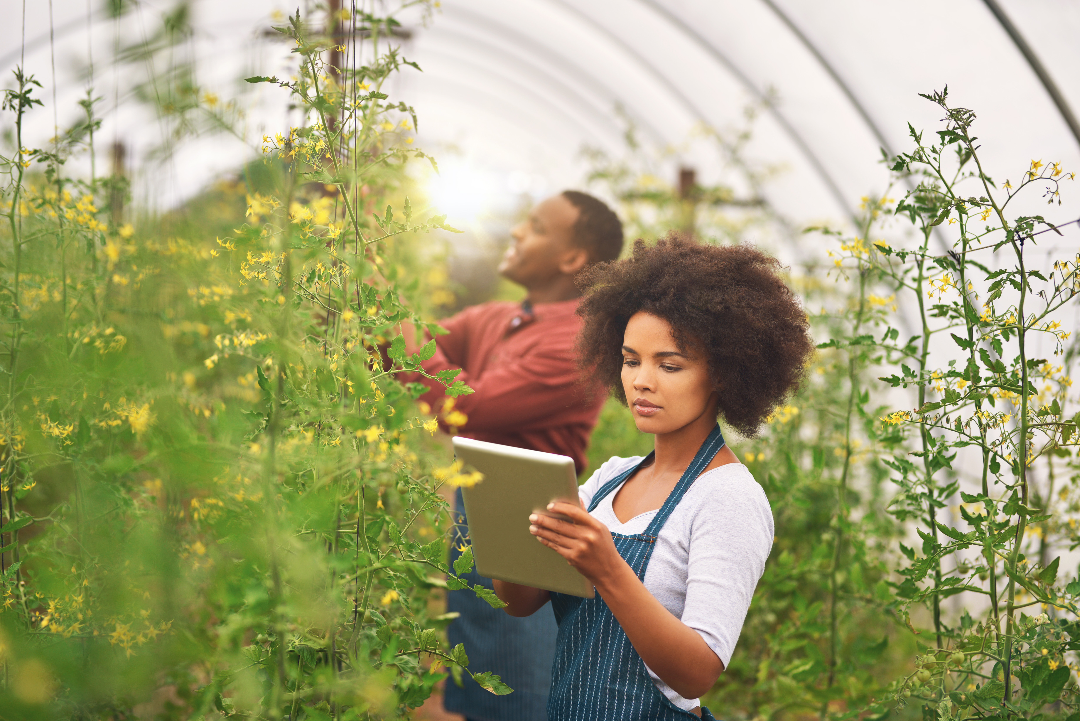 Modern Farming Technologies