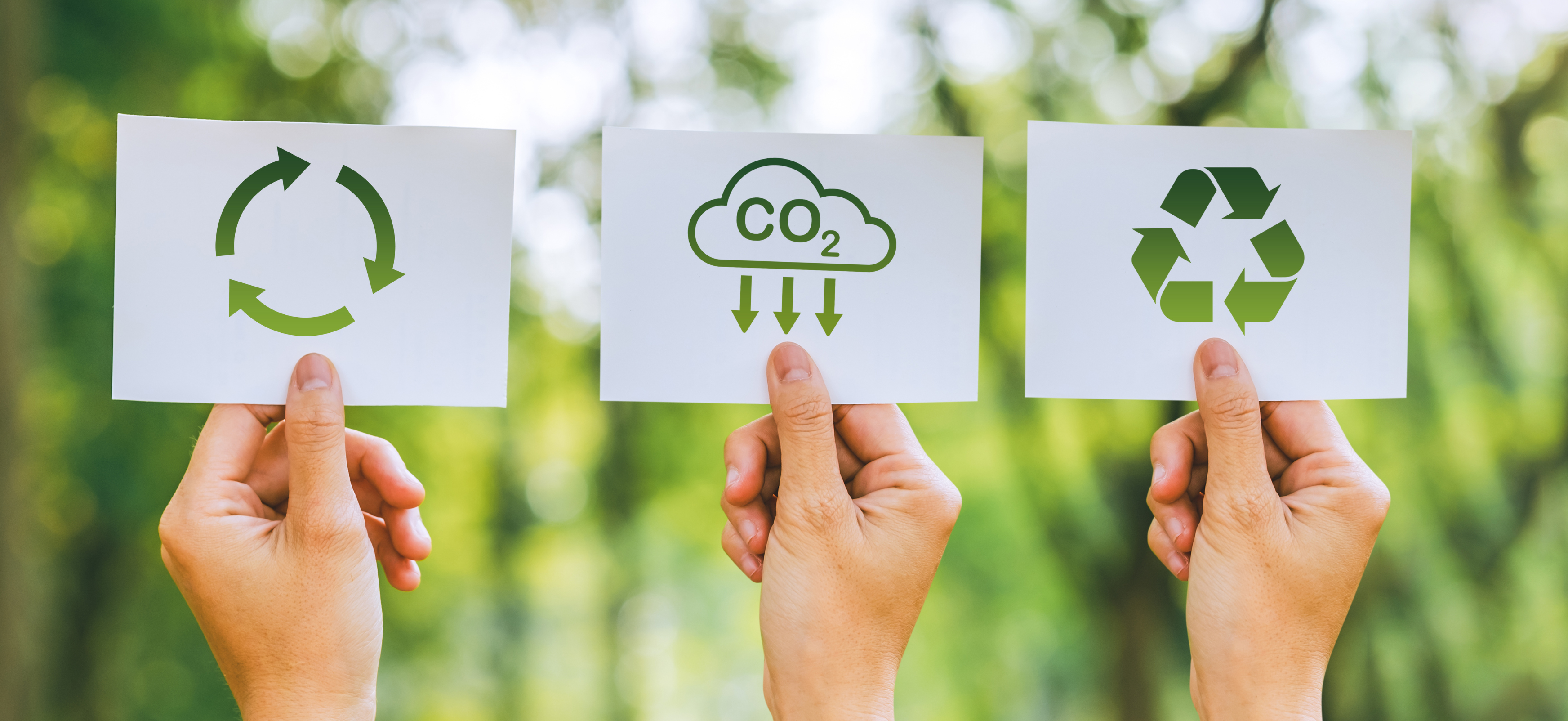 Sustainability