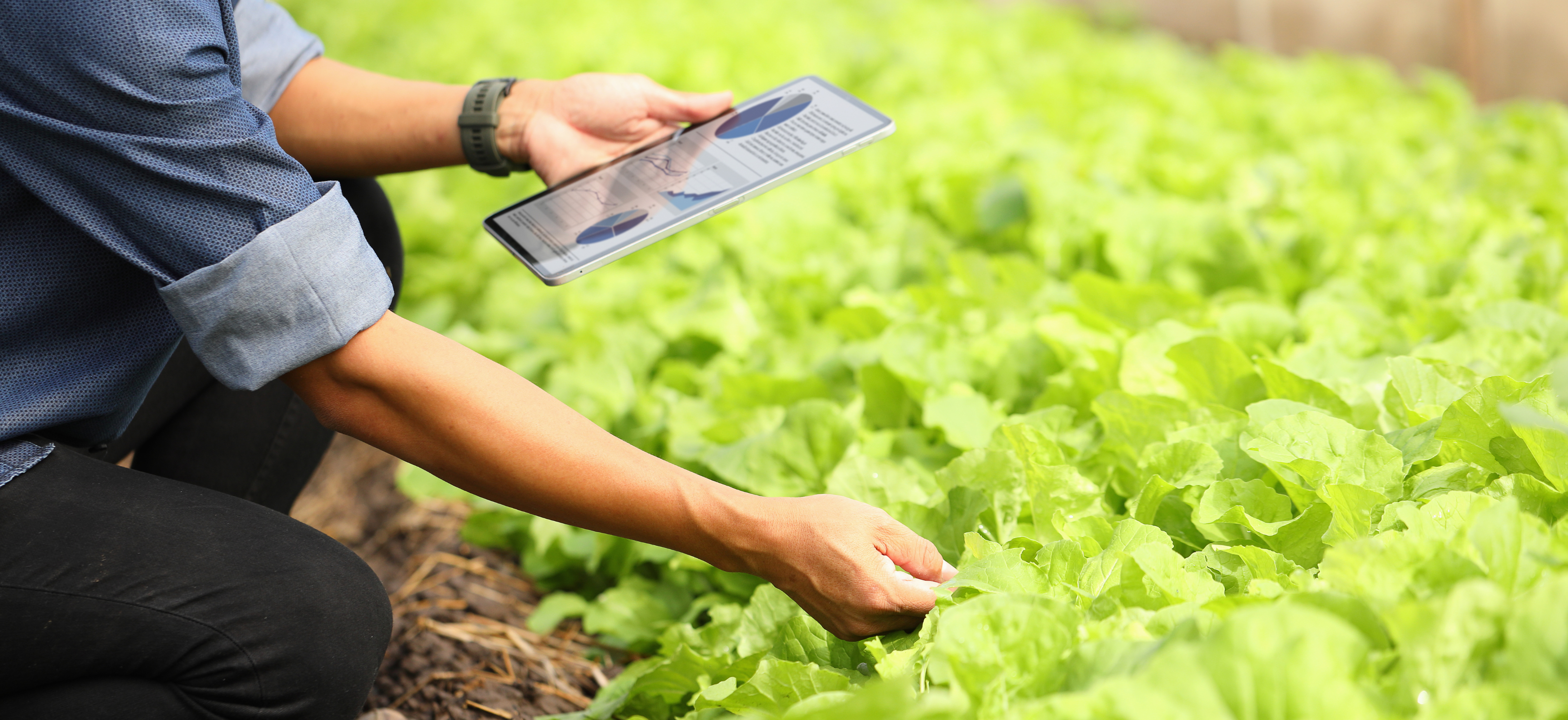 Agriculture
