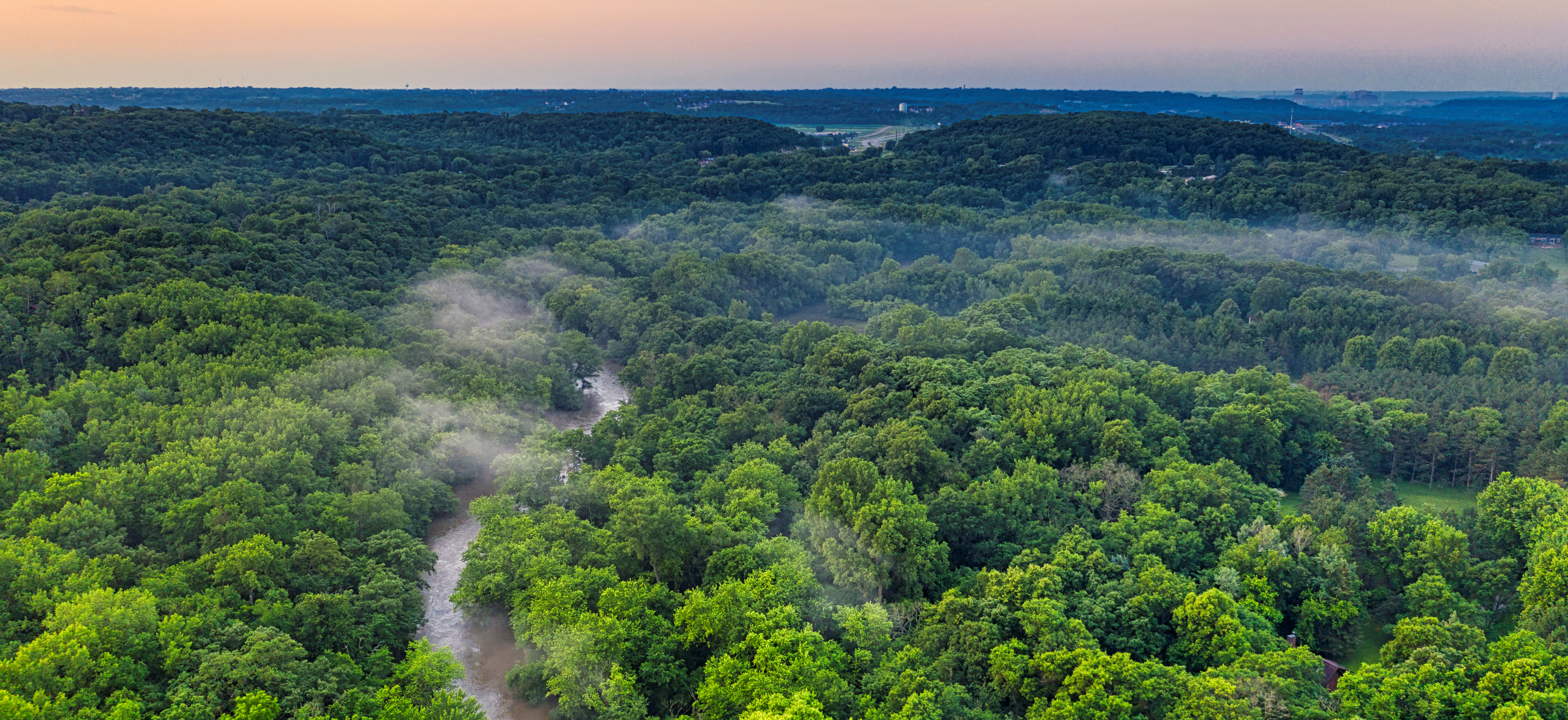 Forest Monitoring