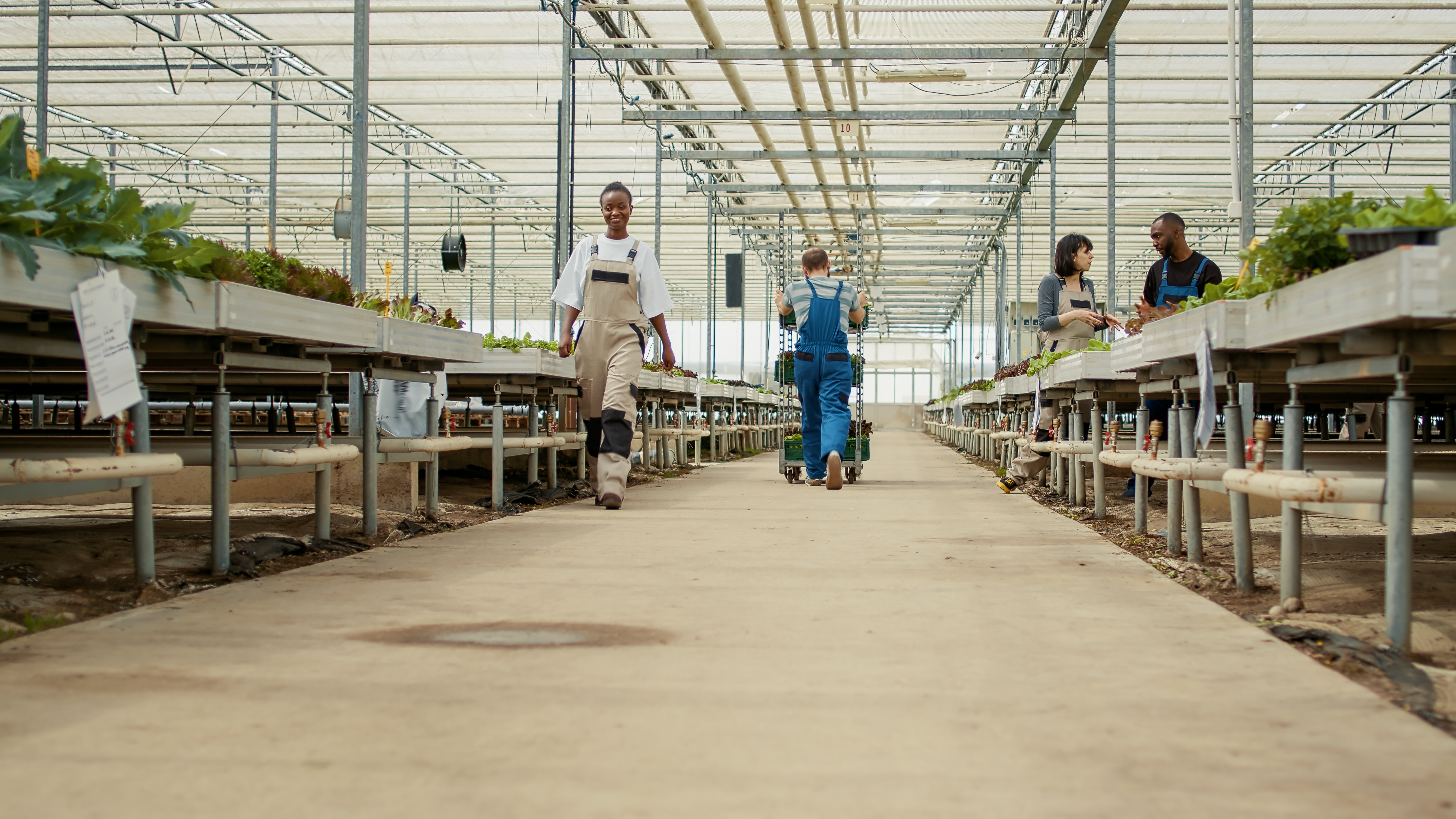Agro-Processing Hubs