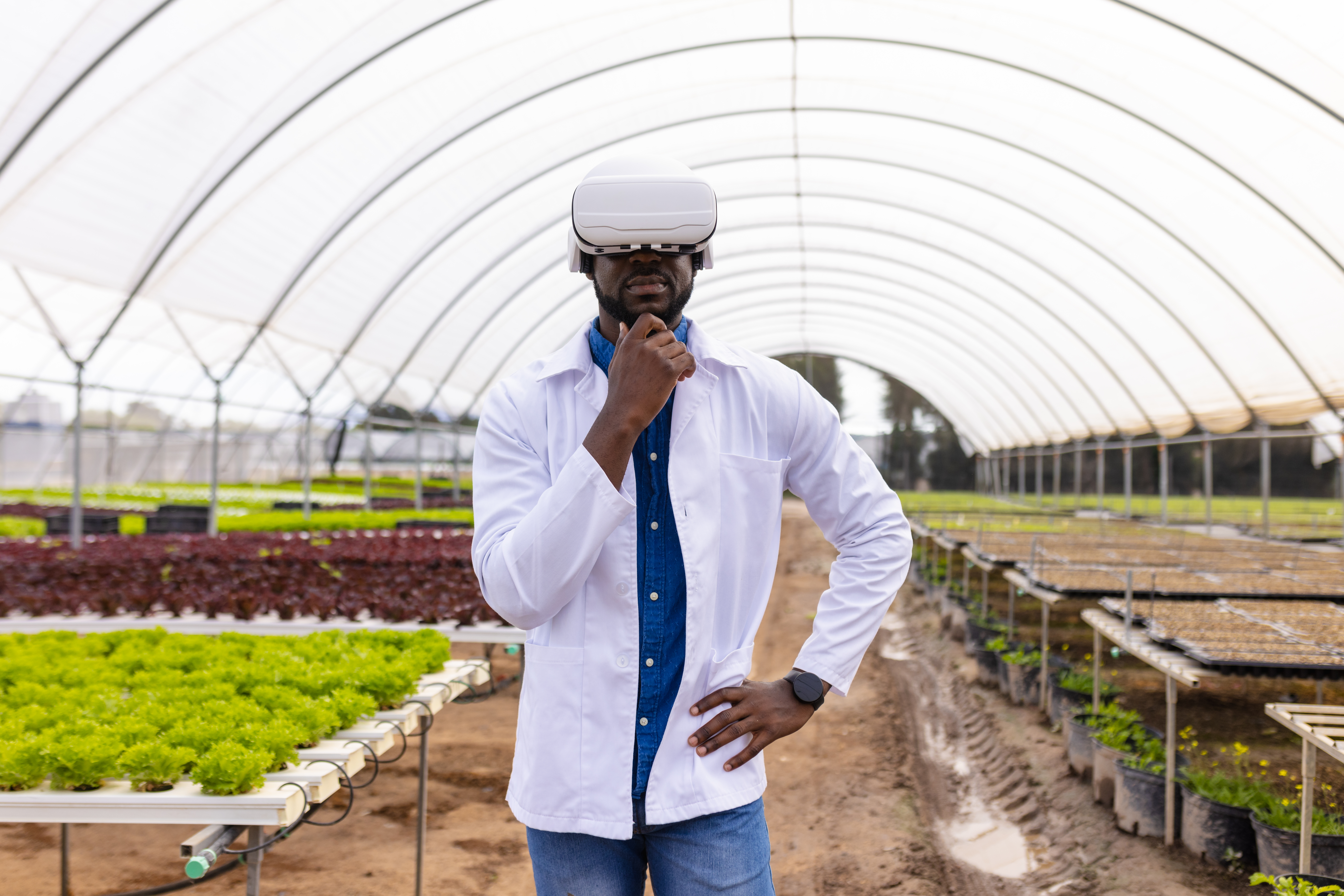 Agricultural Innovation